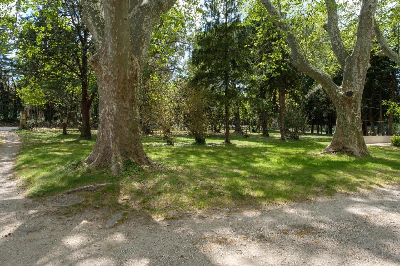 Mas Neuf De Romanin : Mas Provencal Familial Saint-Remy-de-Provence Exterior photo