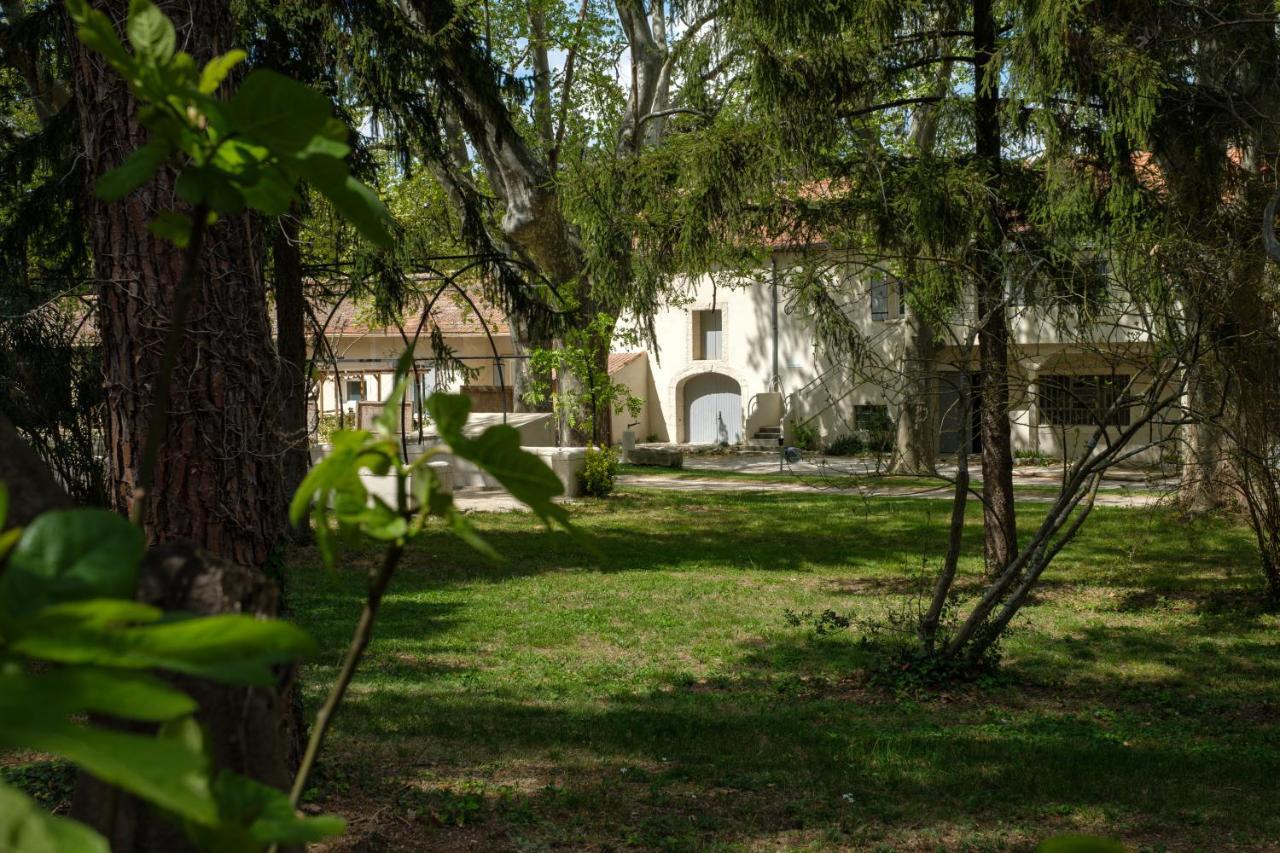Mas Neuf De Romanin : Mas Provencal Familial Saint-Remy-de-Provence Exterior photo