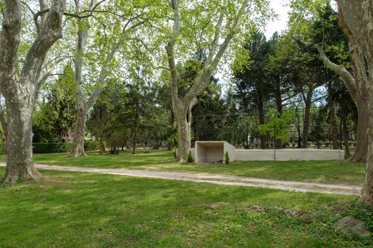 Mas Neuf De Romanin : Mas Provencal Familial Saint-Remy-de-Provence Exterior photo