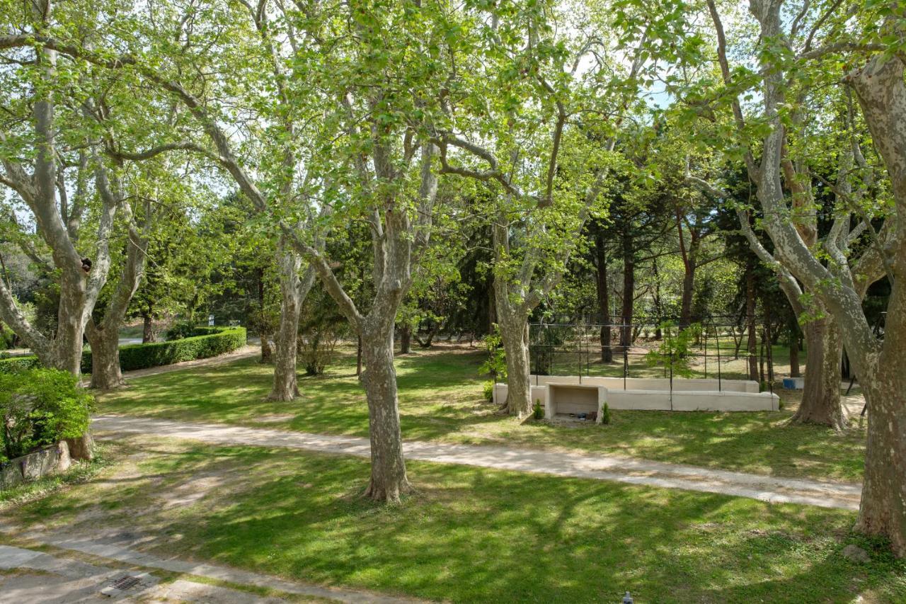 Mas Neuf De Romanin : Mas Provencal Familial Saint-Remy-de-Provence Exterior photo