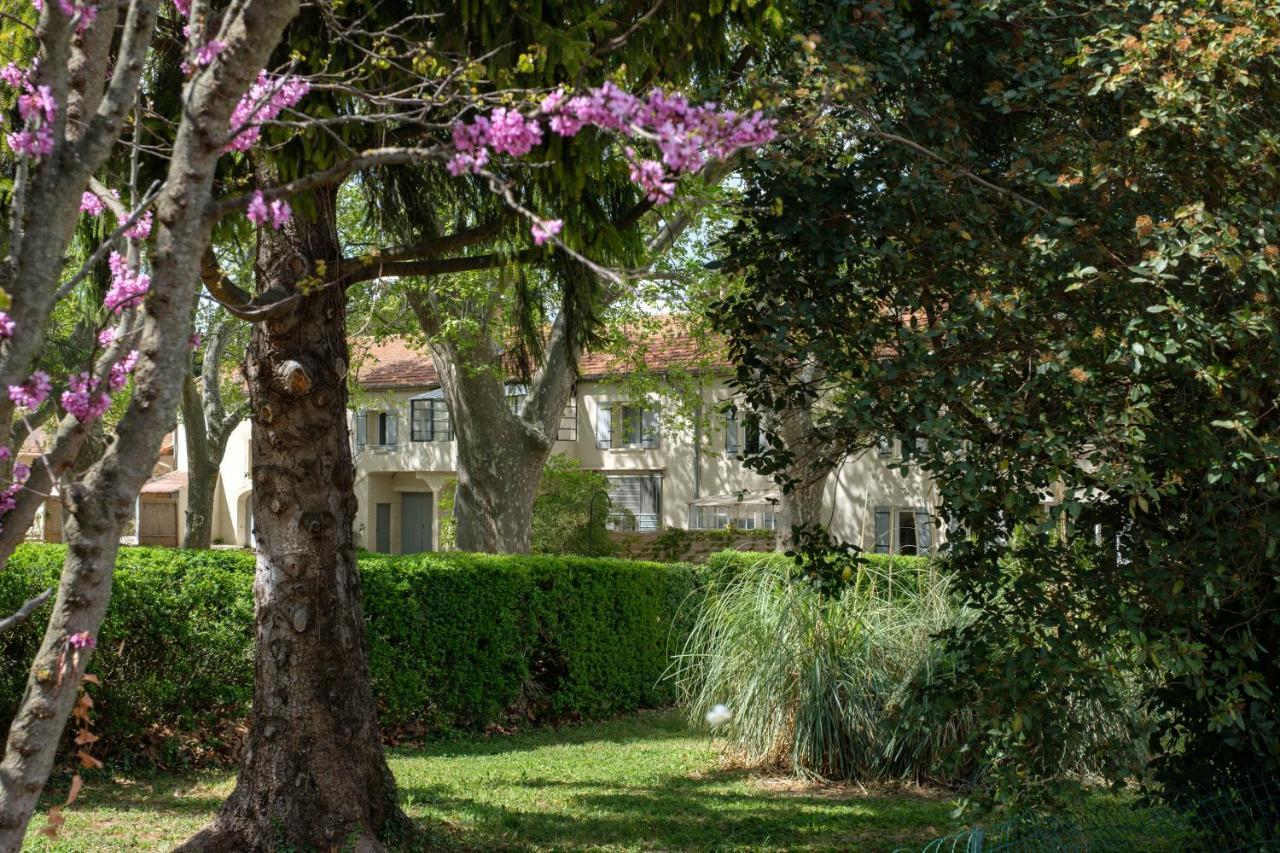 Mas Neuf De Romanin : Mas Provencal Familial Saint-Remy-de-Provence Exterior photo