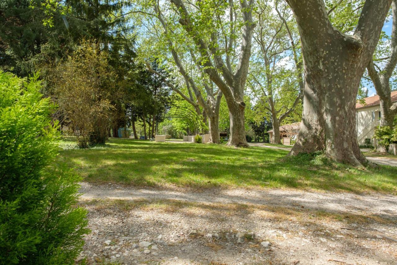 Mas Neuf De Romanin : Mas Provencal Familial Saint-Remy-de-Provence Exterior photo