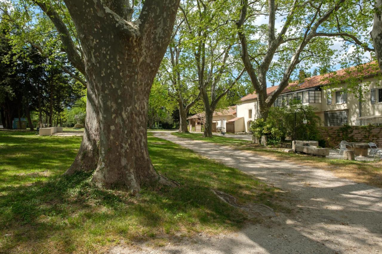 Mas Neuf De Romanin : Mas Provencal Familial Saint-Remy-de-Provence Exterior photo