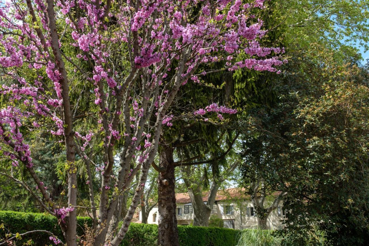 Mas Neuf De Romanin : Mas Provencal Familial Saint-Remy-de-Provence Exterior photo
